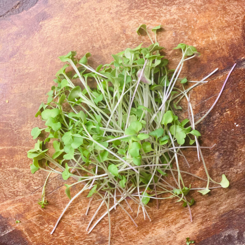 Broccoli2