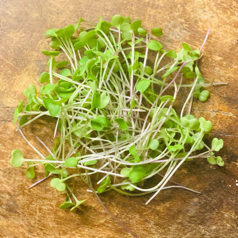 arugula2