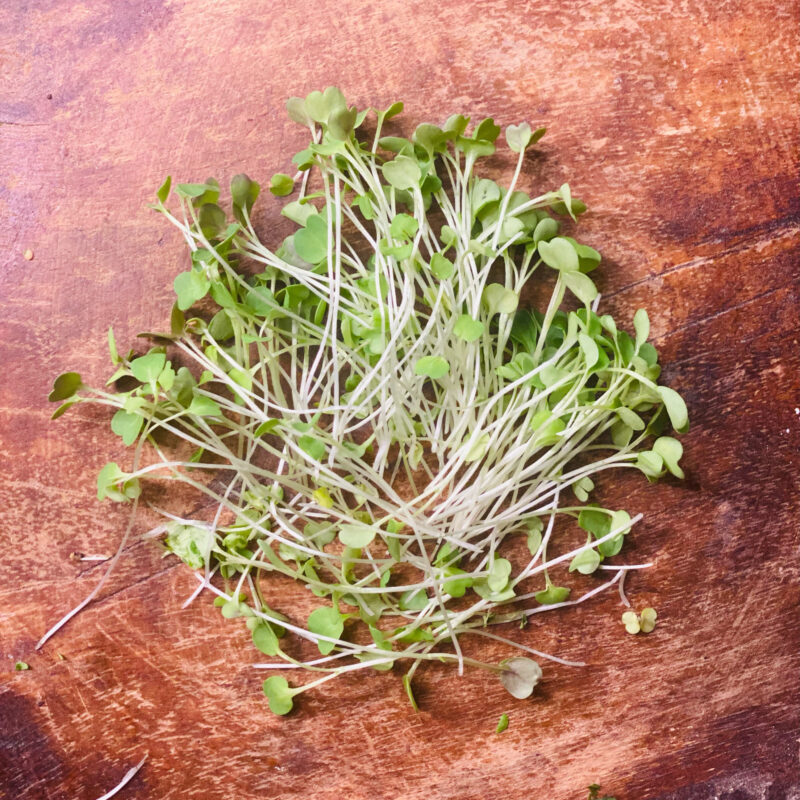 kale2